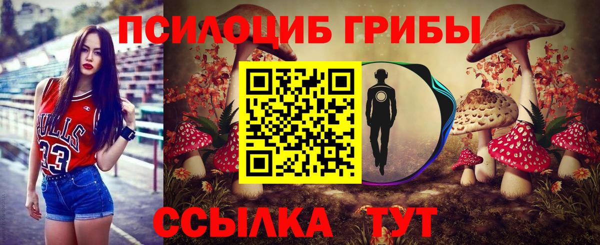 Новошахтинск  Псилоцибиновые грибы Psilocybine cubensis  Вход с VPN 