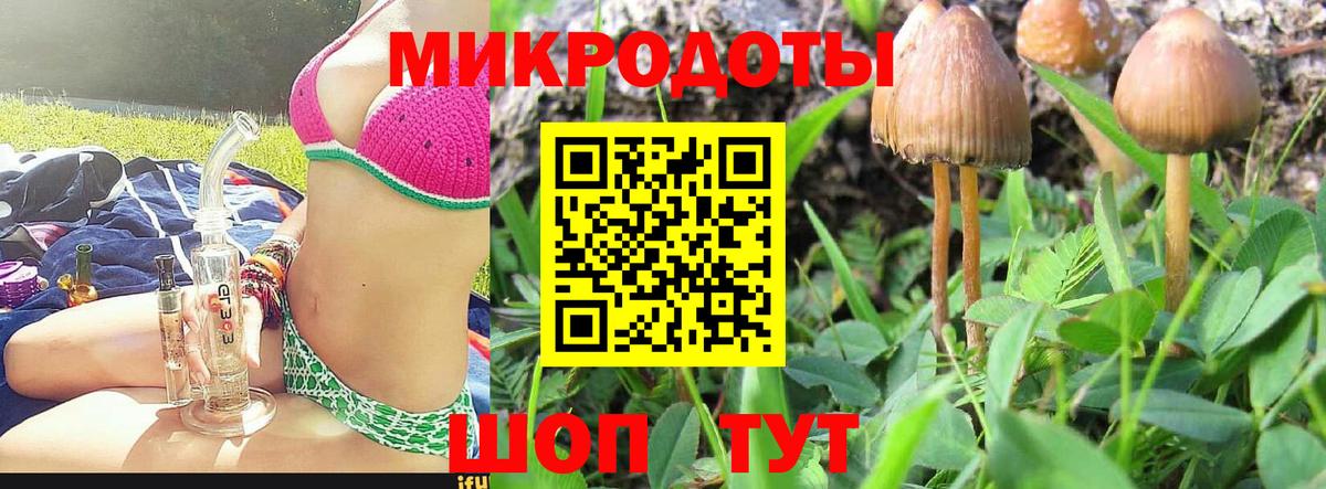 Галлюциногенные грибы GOLDEN TEACHER Новошахтинск